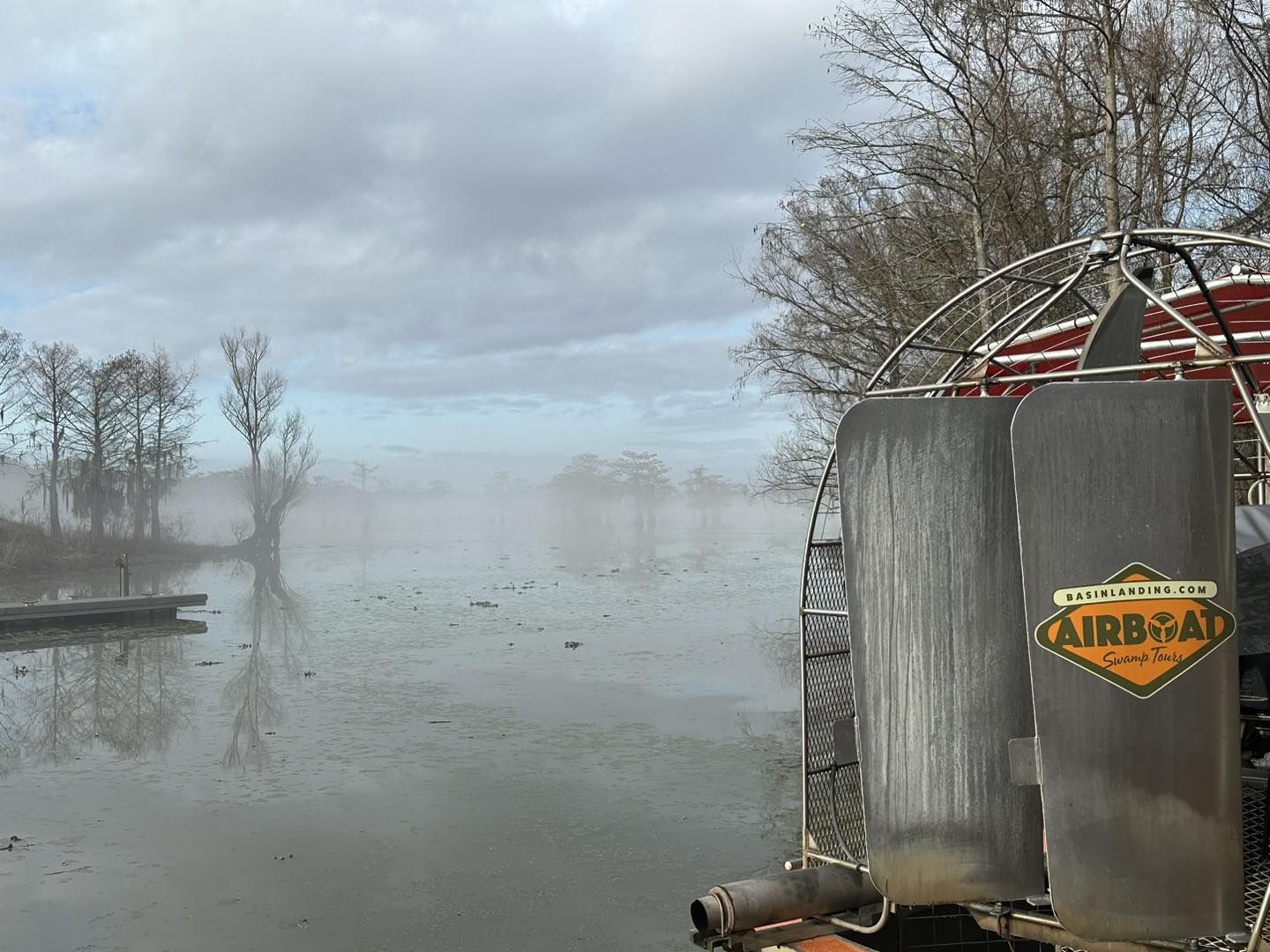 Why Winter is Underrated for Swamp Tours | Basin Landing Airboat and Swamp Tour