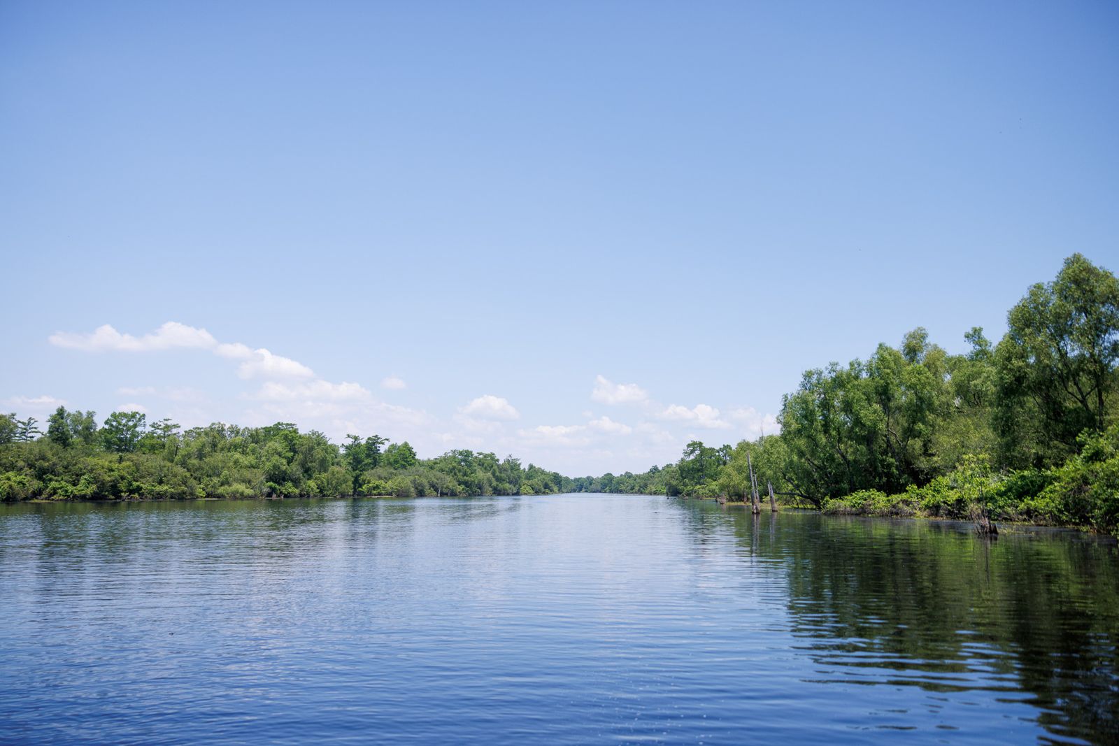 Thanksgiving in the Swamp: A Louisiana-Style Getaway with Basin Landing Swamp Tours | Basin Landing Airboat and Swamp Tour