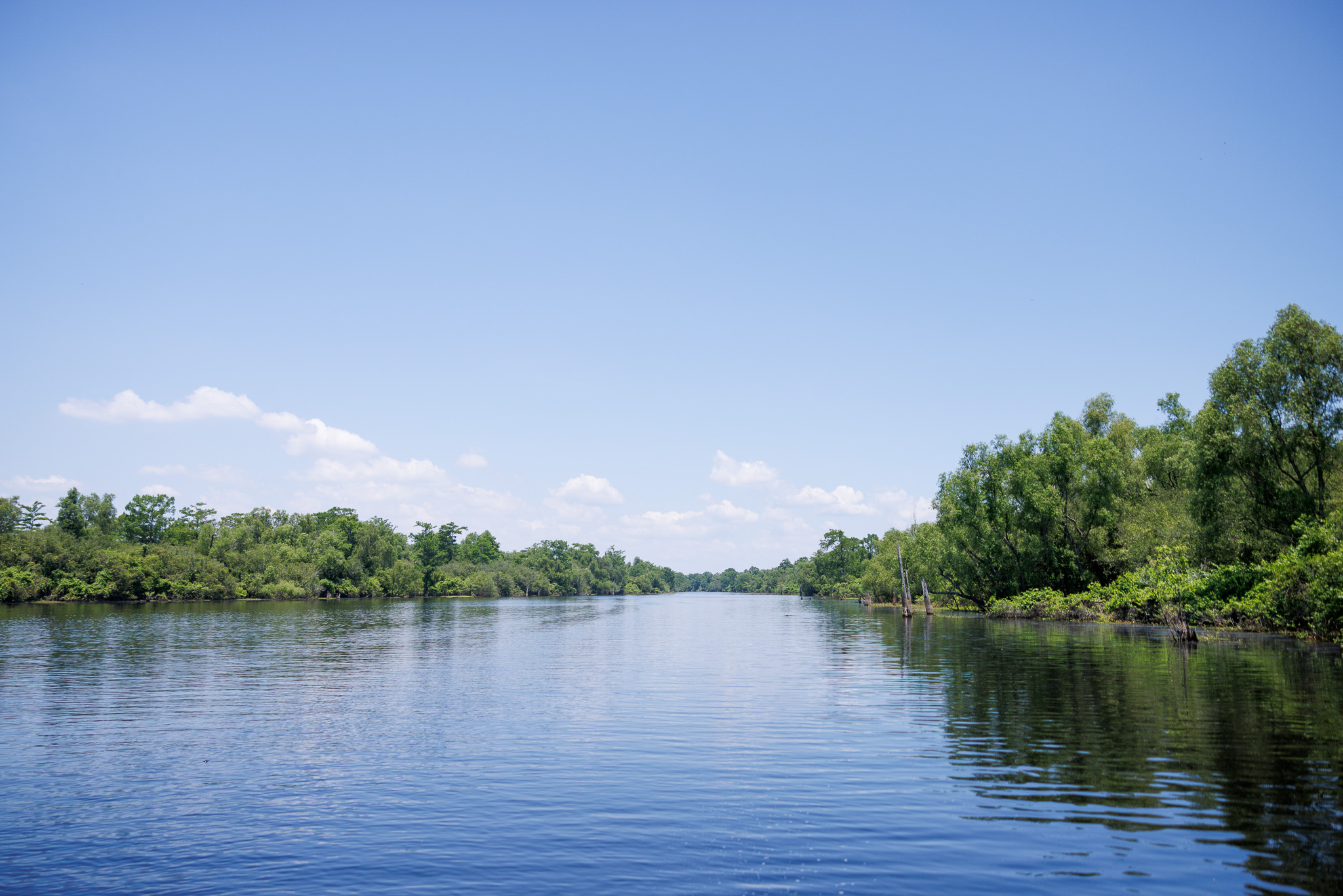 Basin Landing Airboat and Swamp Tour | AN AIRBOAT SWAMP TOUR VS. A TRADITIONAL SWAMP BOAT TOUR
